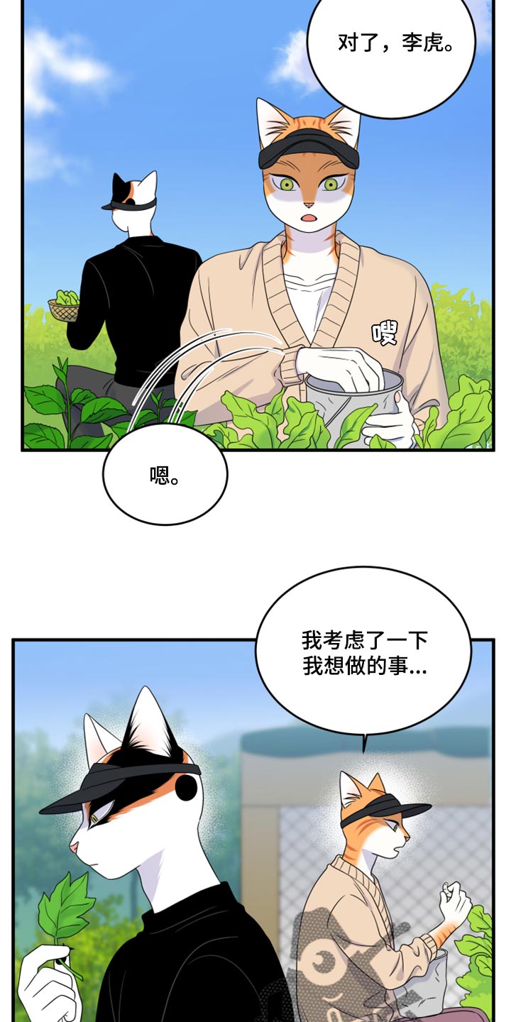 《灵猫欧米伽》漫画最新章节第87章：【第二季】学习防身术免费下拉式在线观看章节第【19】张图片