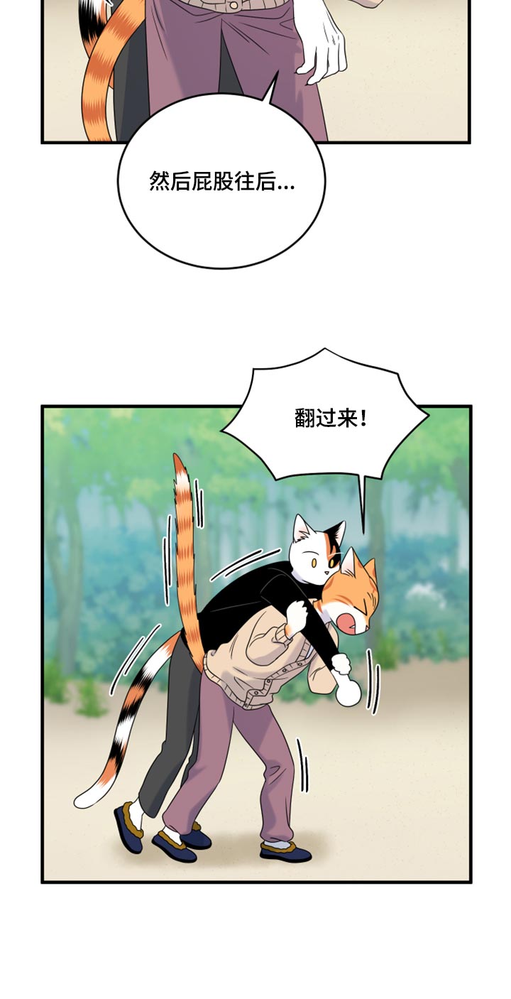 《灵猫欧米伽》漫画最新章节第87章：【第二季】学习防身术免费下拉式在线观看章节第【11】张图片