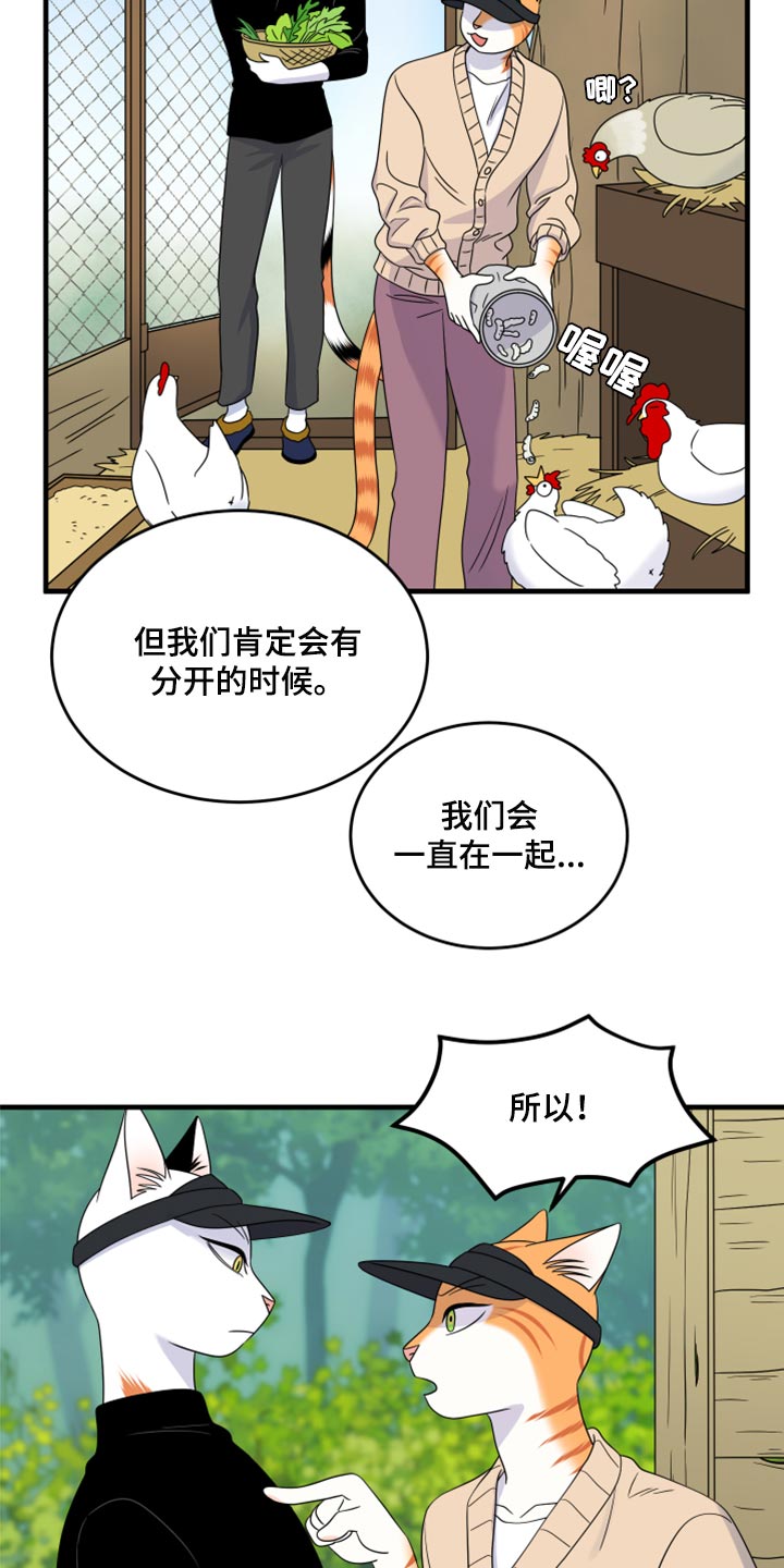 《灵猫欧米伽》漫画最新章节第87章：【第二季】学习防身术免费下拉式在线观看章节第【17】张图片