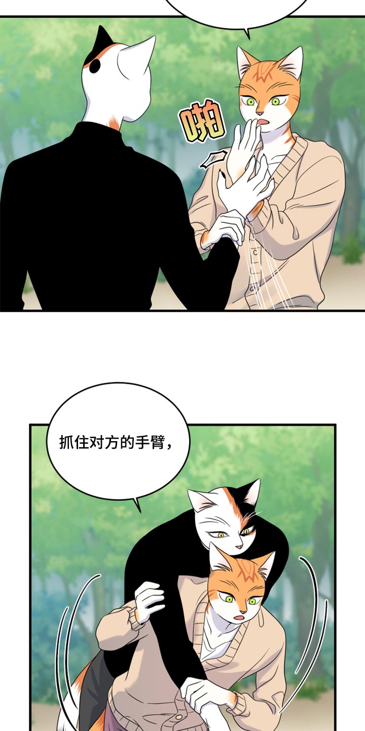 《灵猫欧米伽》漫画最新章节第87章：【第二季】学习防身术免费下拉式在线观看章节第【12】张图片