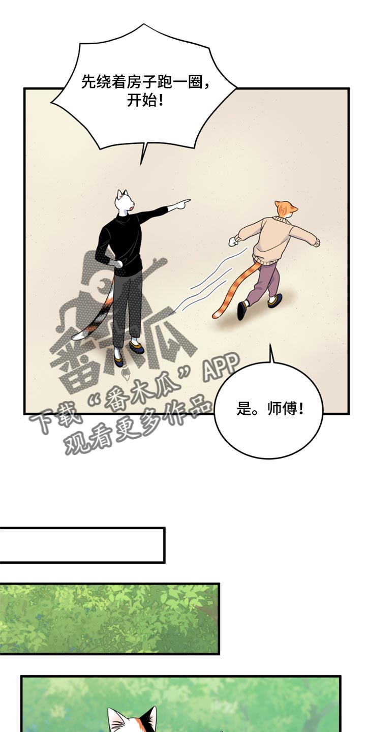 《灵猫欧米伽》漫画最新章节第87章：【第二季】学习防身术免费下拉式在线观看章节第【8】张图片