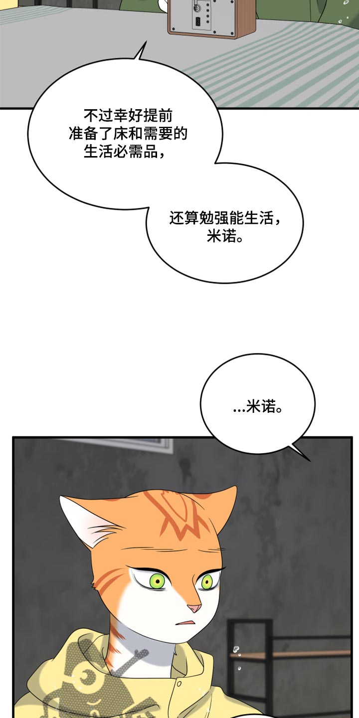 《灵猫欧米伽》漫画最新章节第88章：【第二季】台风免费下拉式在线观看章节第【6】张图片