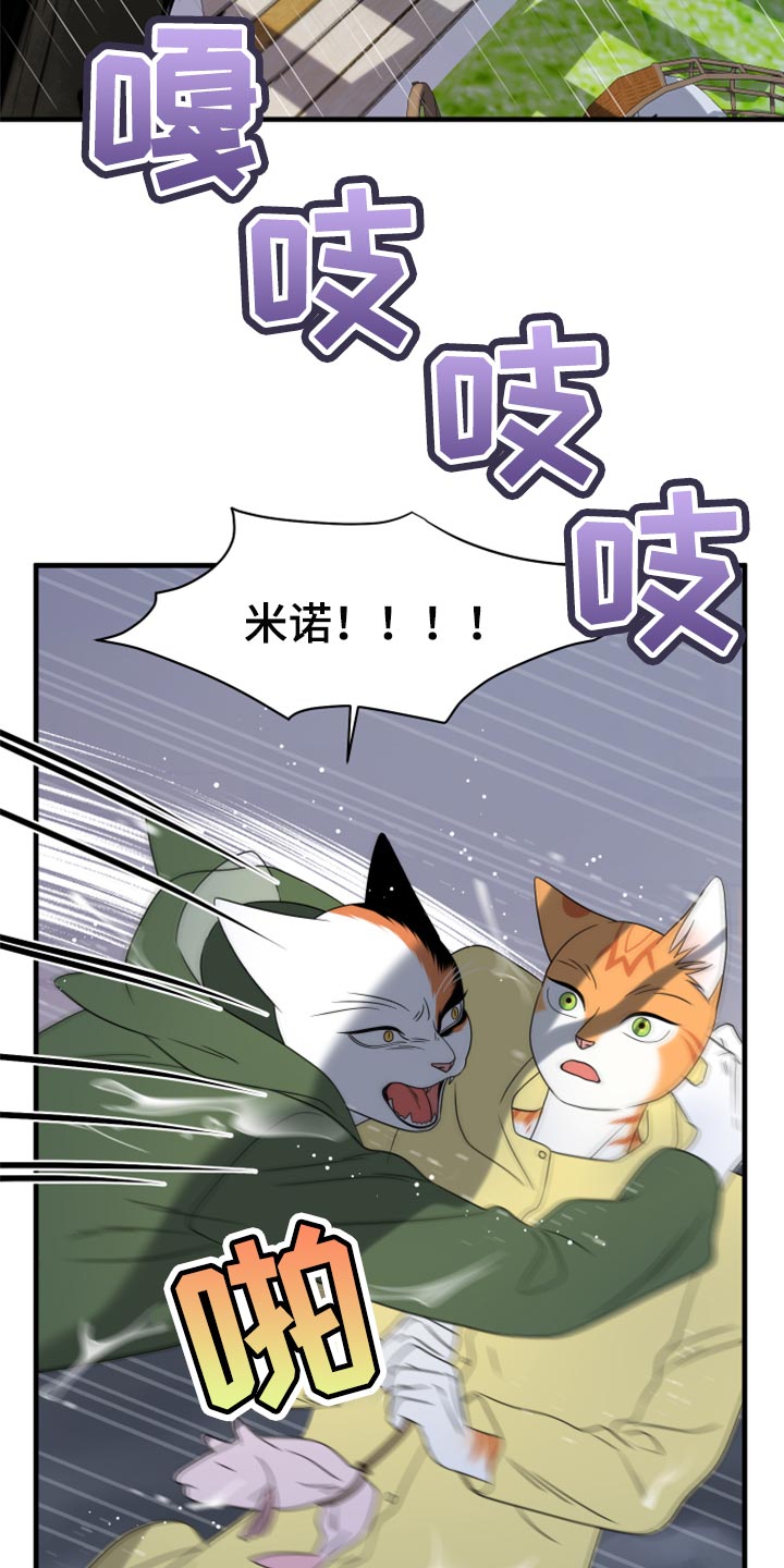 《灵猫欧米伽》漫画最新章节第88章：【第二季】台风免费下拉式在线观看章节第【12】张图片