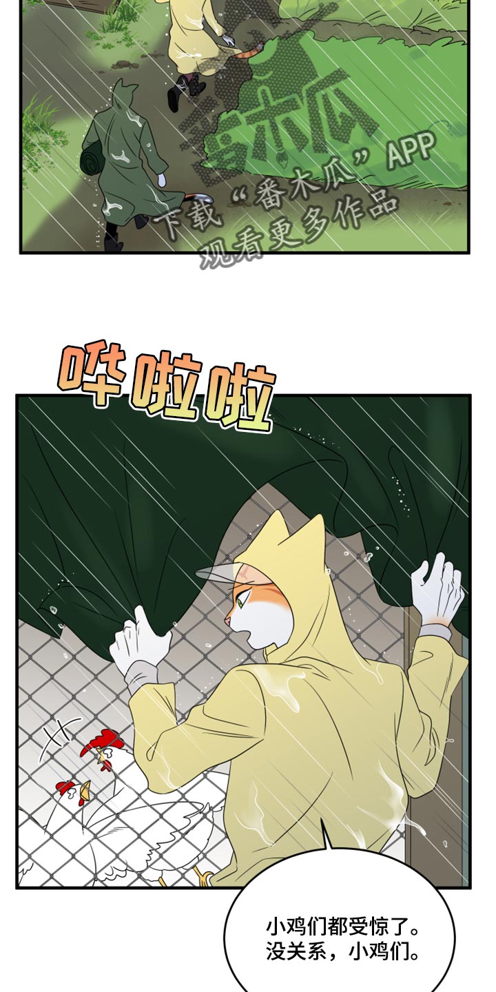 《灵猫欧米伽》漫画最新章节第88章：【第二季】台风免费下拉式在线观看章节第【23】张图片