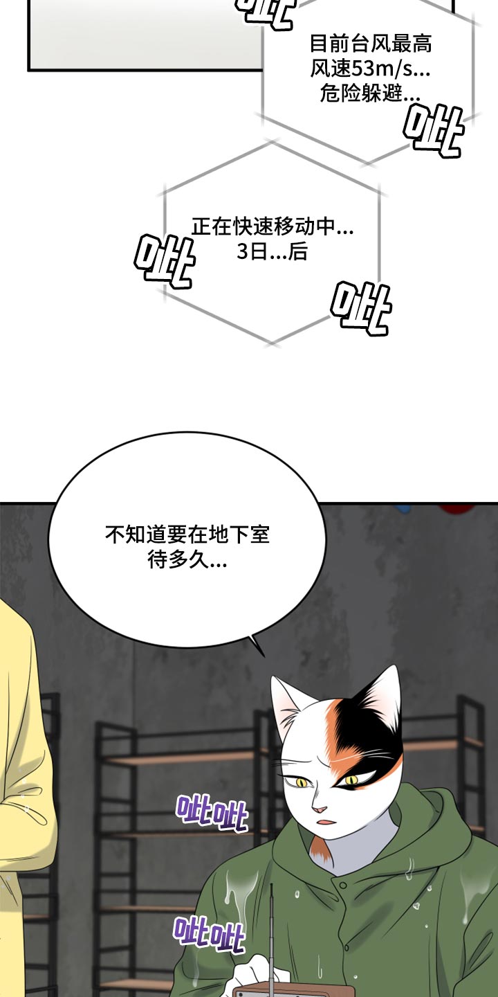 《灵猫欧米伽》漫画最新章节第88章：【第二季】台风免费下拉式在线观看章节第【7】张图片