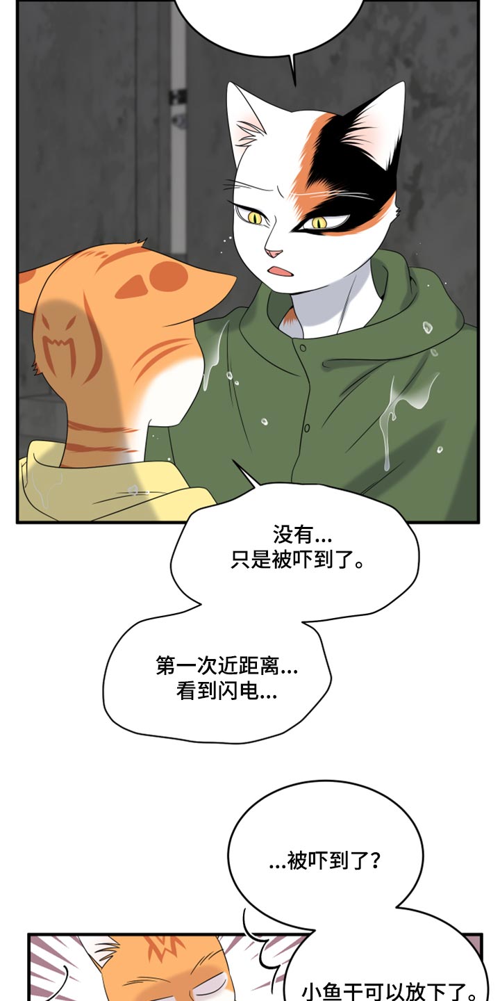 《灵猫欧米伽》漫画最新章节第88章：【第二季】台风免费下拉式在线观看章节第【4】张图片