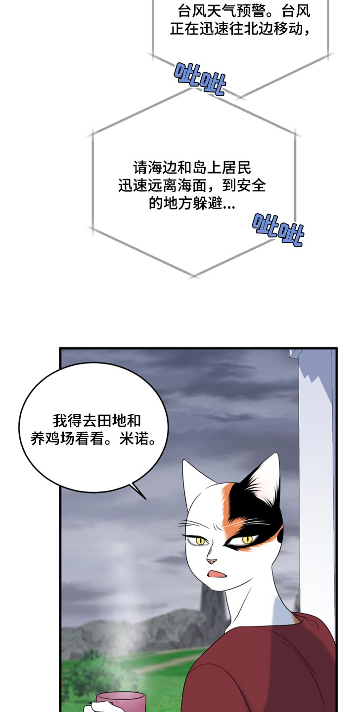 《灵猫欧米伽》漫画最新章节第88章：【第二季】台风免费下拉式在线观看章节第【25】张图片