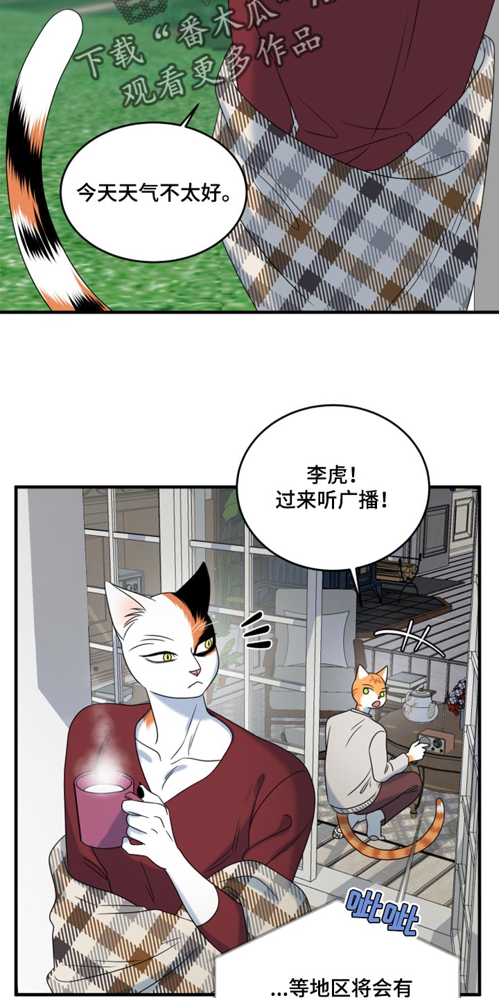 《灵猫欧米伽》漫画最新章节第88章：【第二季】台风免费下拉式在线观看章节第【26】张图片