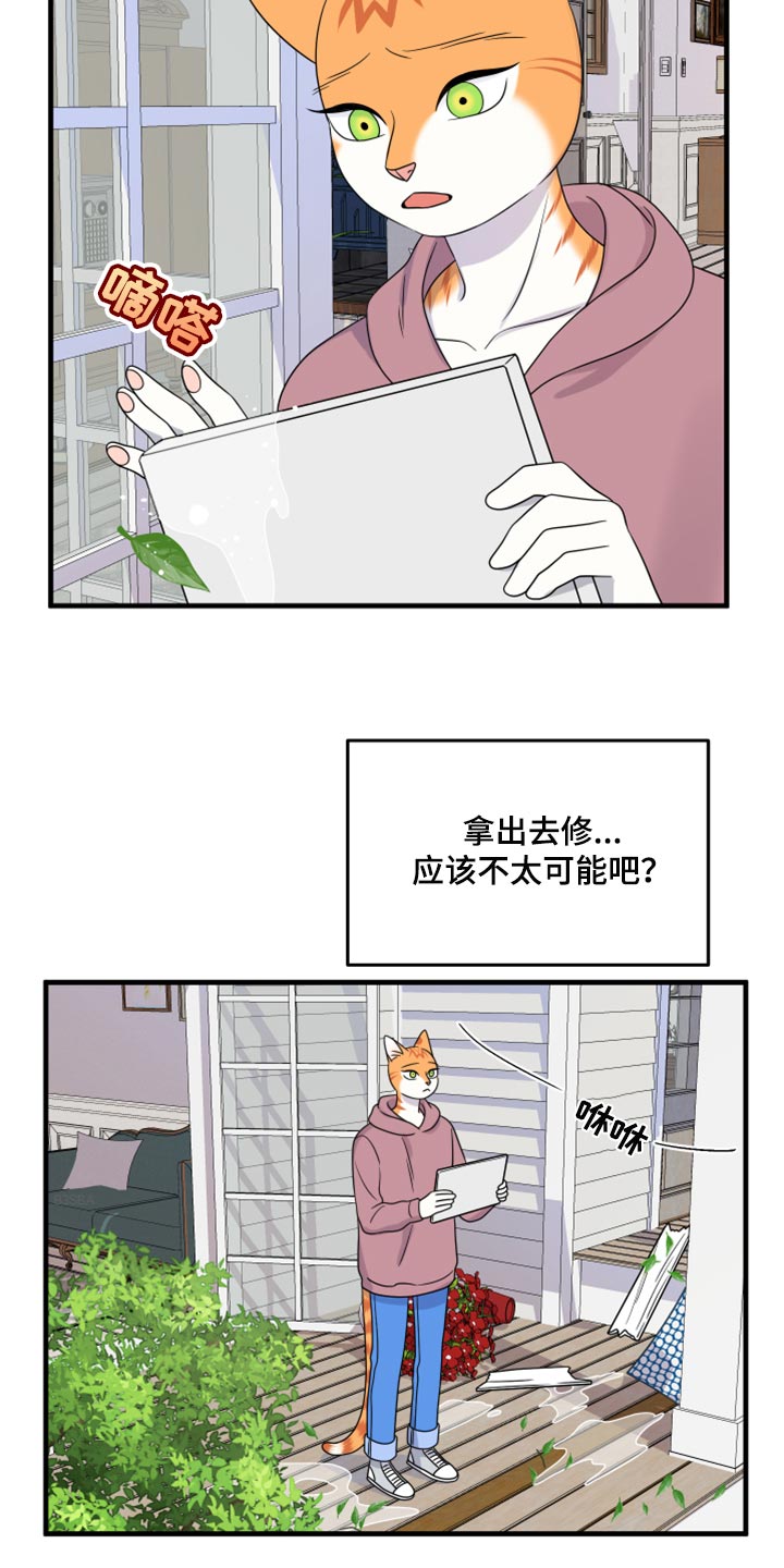 《灵猫欧米伽》漫画最新章节第89章：【第二季】乱七八糟免费下拉式在线观看章节第【3】张图片