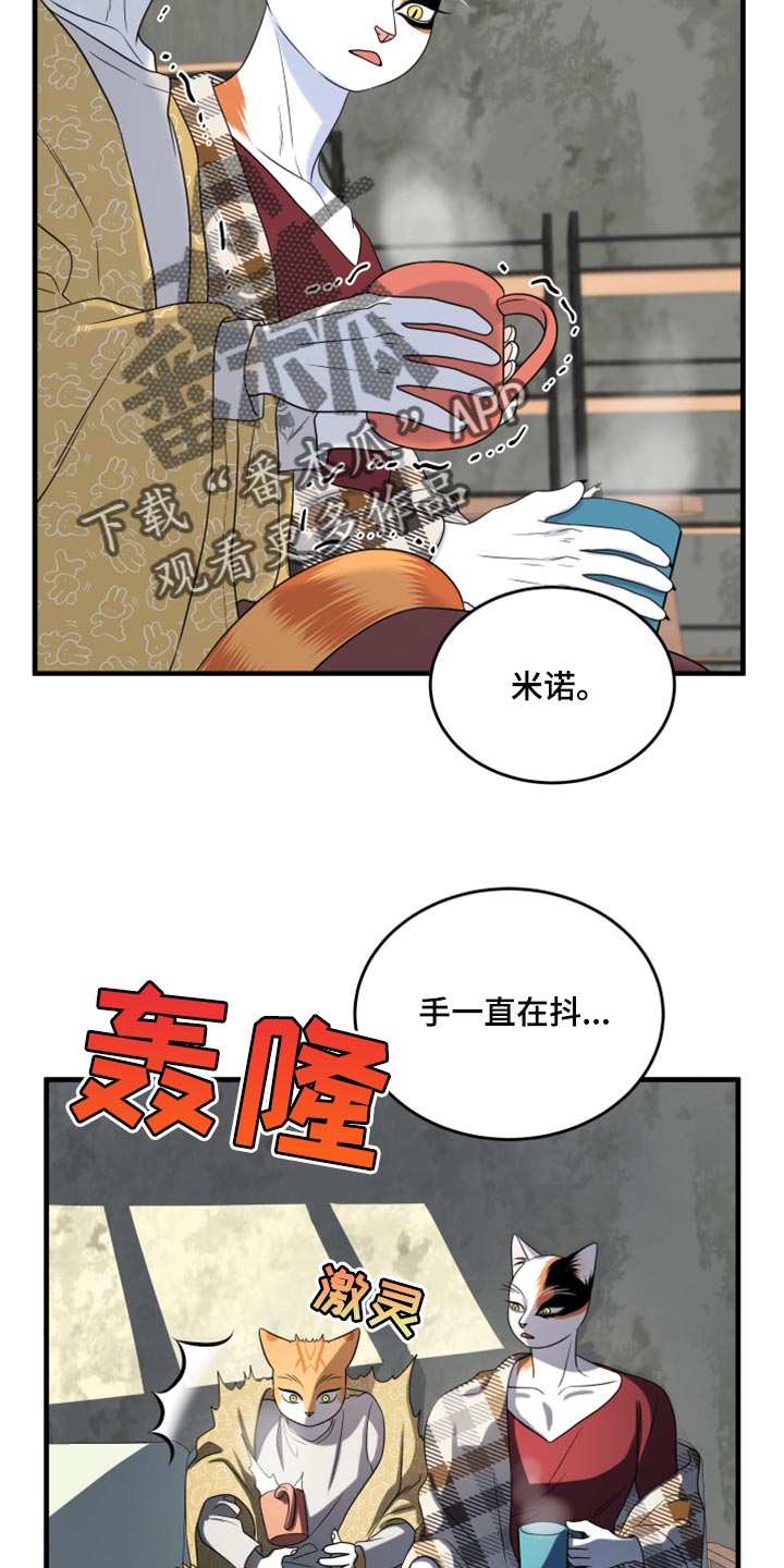 《灵猫欧米伽》漫画最新章节第89章：【第二季】乱七八糟免费下拉式在线观看章节第【17】张图片