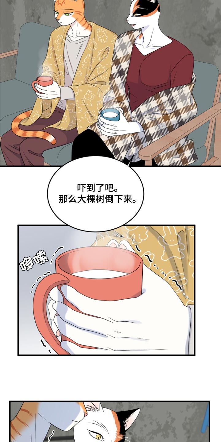 《灵猫欧米伽》漫画最新章节第89章：【第二季】乱七八糟免费下拉式在线观看章节第【18】张图片