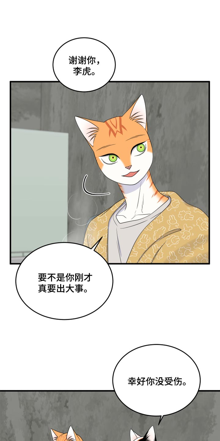 《灵猫欧米伽》漫画最新章节第89章：【第二季】乱七八糟免费下拉式在线观看章节第【19】张图片