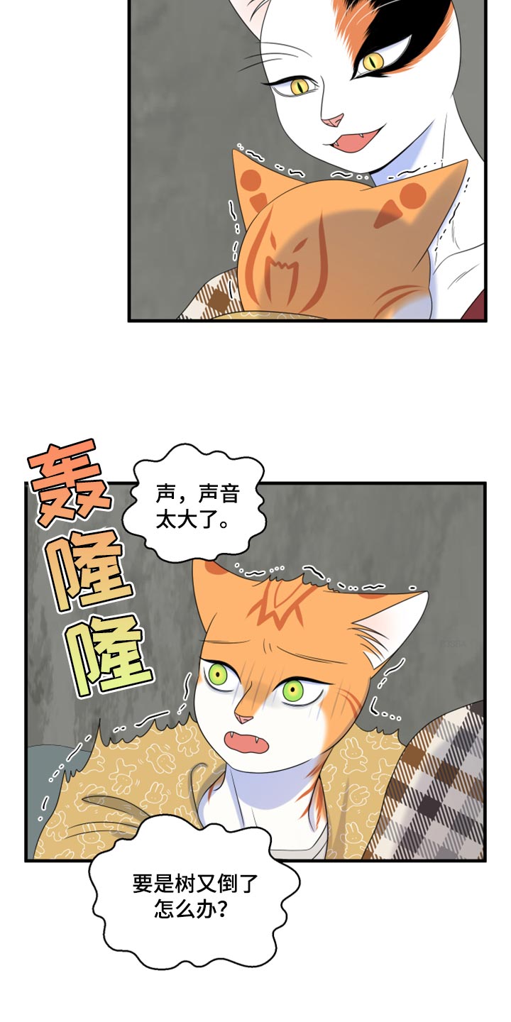 《灵猫欧米伽》漫画最新章节第89章：【第二季】乱七八糟免费下拉式在线观看章节第【15】张图片