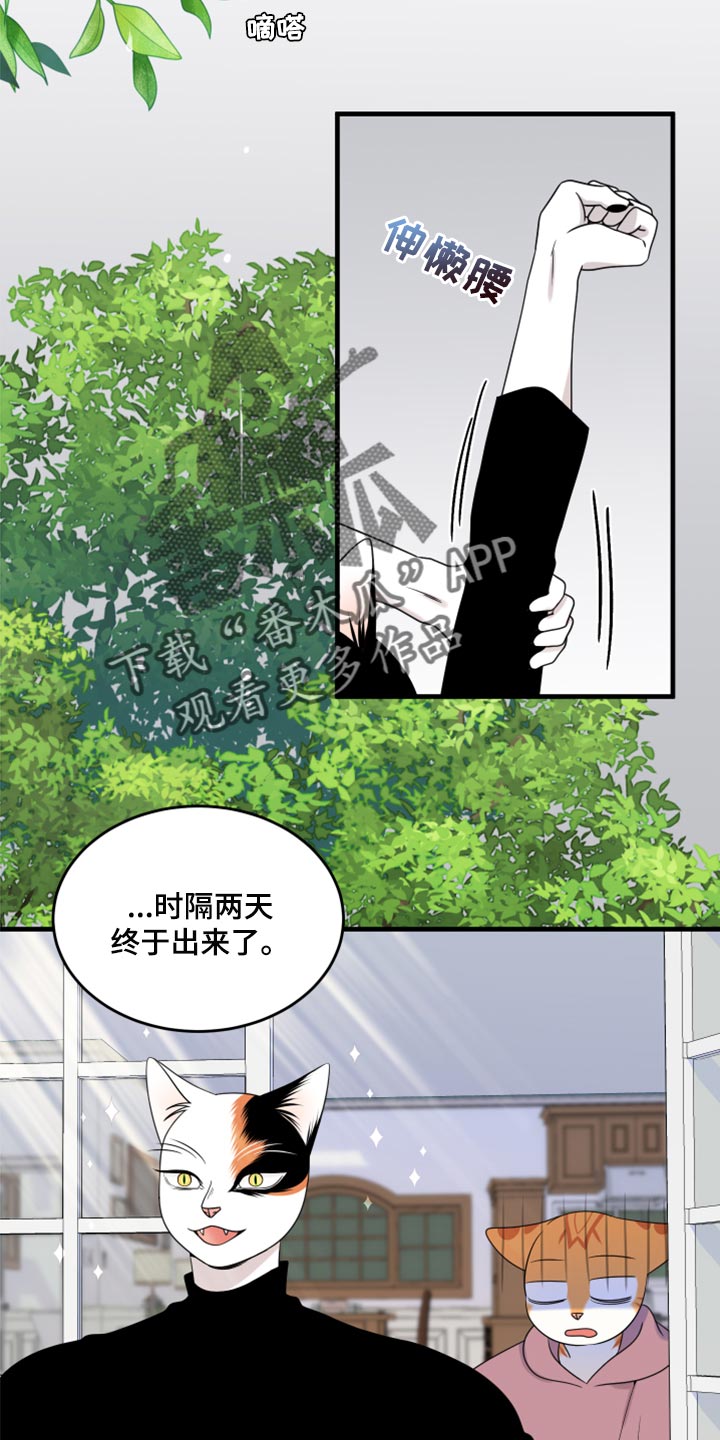 《灵猫欧米伽》漫画最新章节第89章：【第二季】乱七八糟免费下拉式在线观看章节第【8】张图片