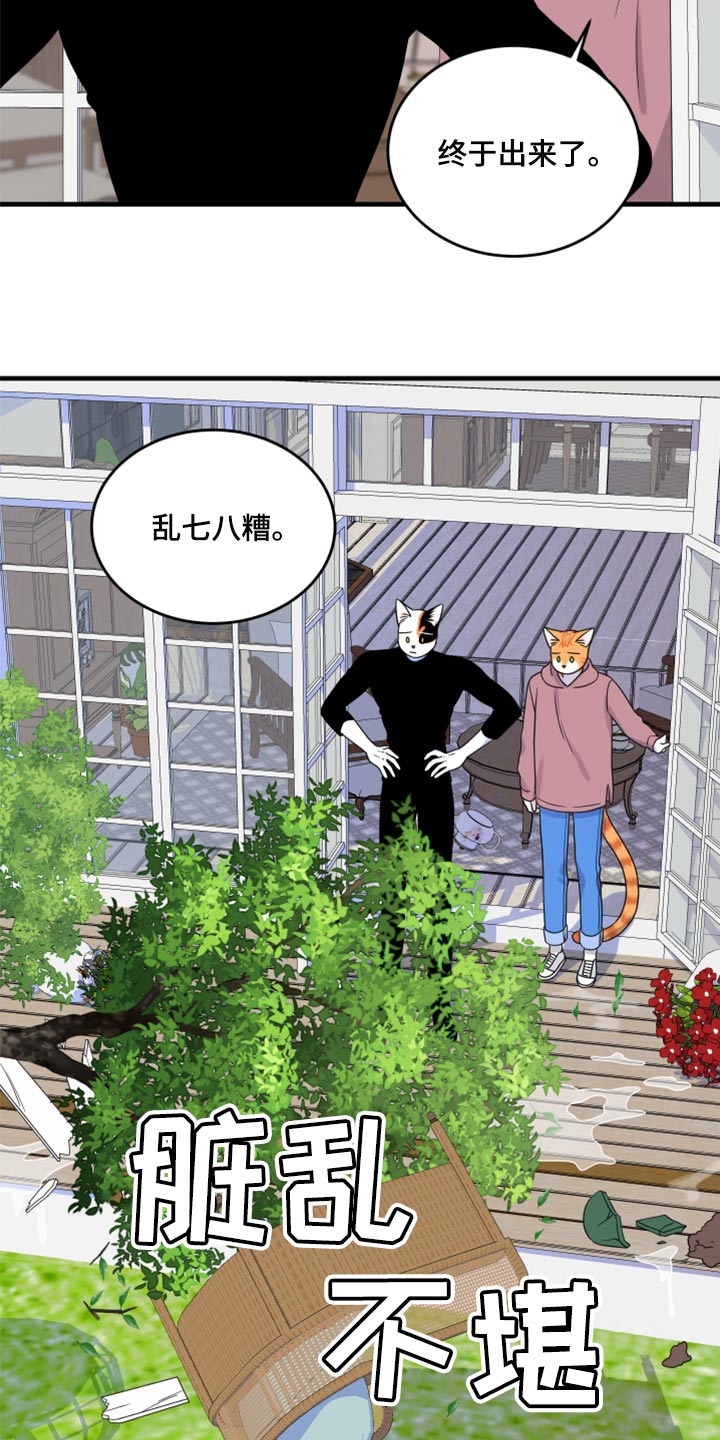 《灵猫欧米伽》漫画最新章节第89章：【第二季】乱七八糟免费下拉式在线观看章节第【7】张图片