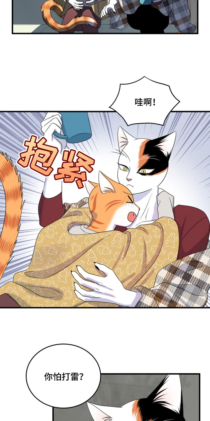 《灵猫欧米伽》漫画最新章节第89章：【第二季】乱七八糟免费下拉式在线观看章节第【16】张图片