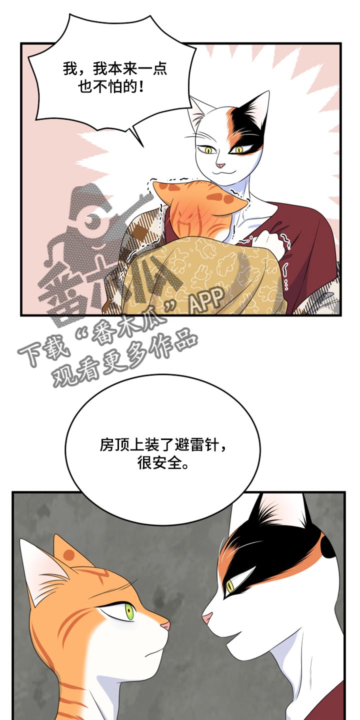 《灵猫欧米伽》漫画最新章节第89章：【第二季】乱七八糟免费下拉式在线观看章节第【14】张图片