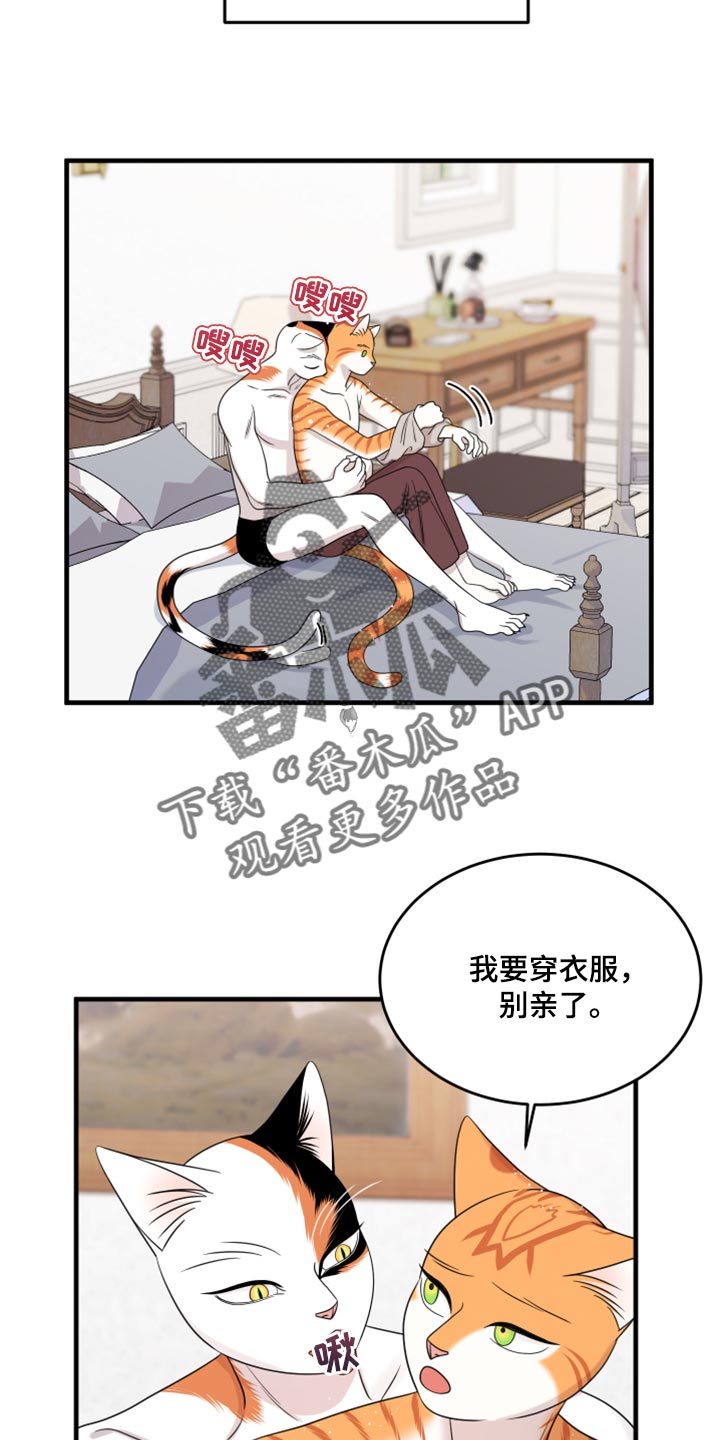 《灵猫欧米伽》漫画最新章节第90章：【第二季】想得太乐观免费下拉式在线观看章节第【5】张图片