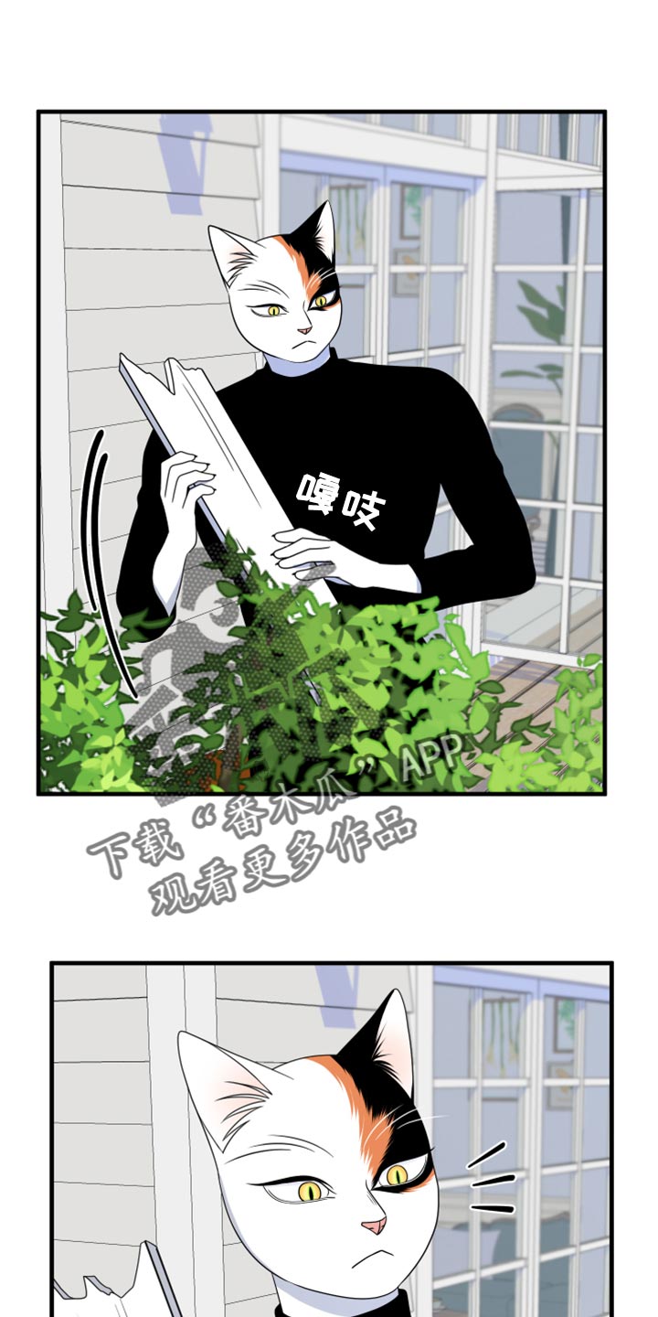 《灵猫欧米伽》漫画最新章节第90章：【第二季】想得太乐观免费下拉式在线观看章节第【22】张图片