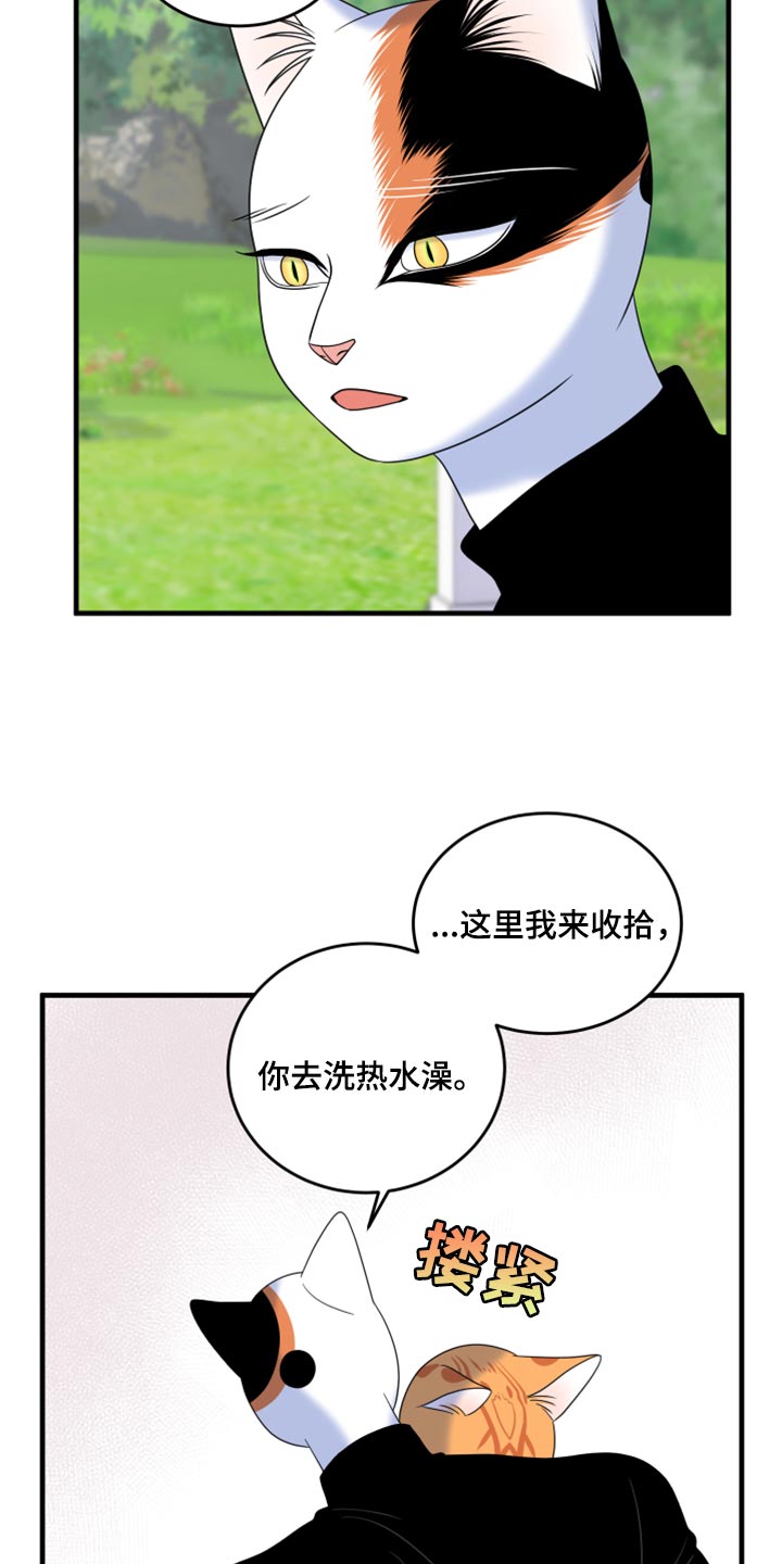 《灵猫欧米伽》漫画最新章节第90章：【第二季】想得太乐观免费下拉式在线观看章节第【8】张图片