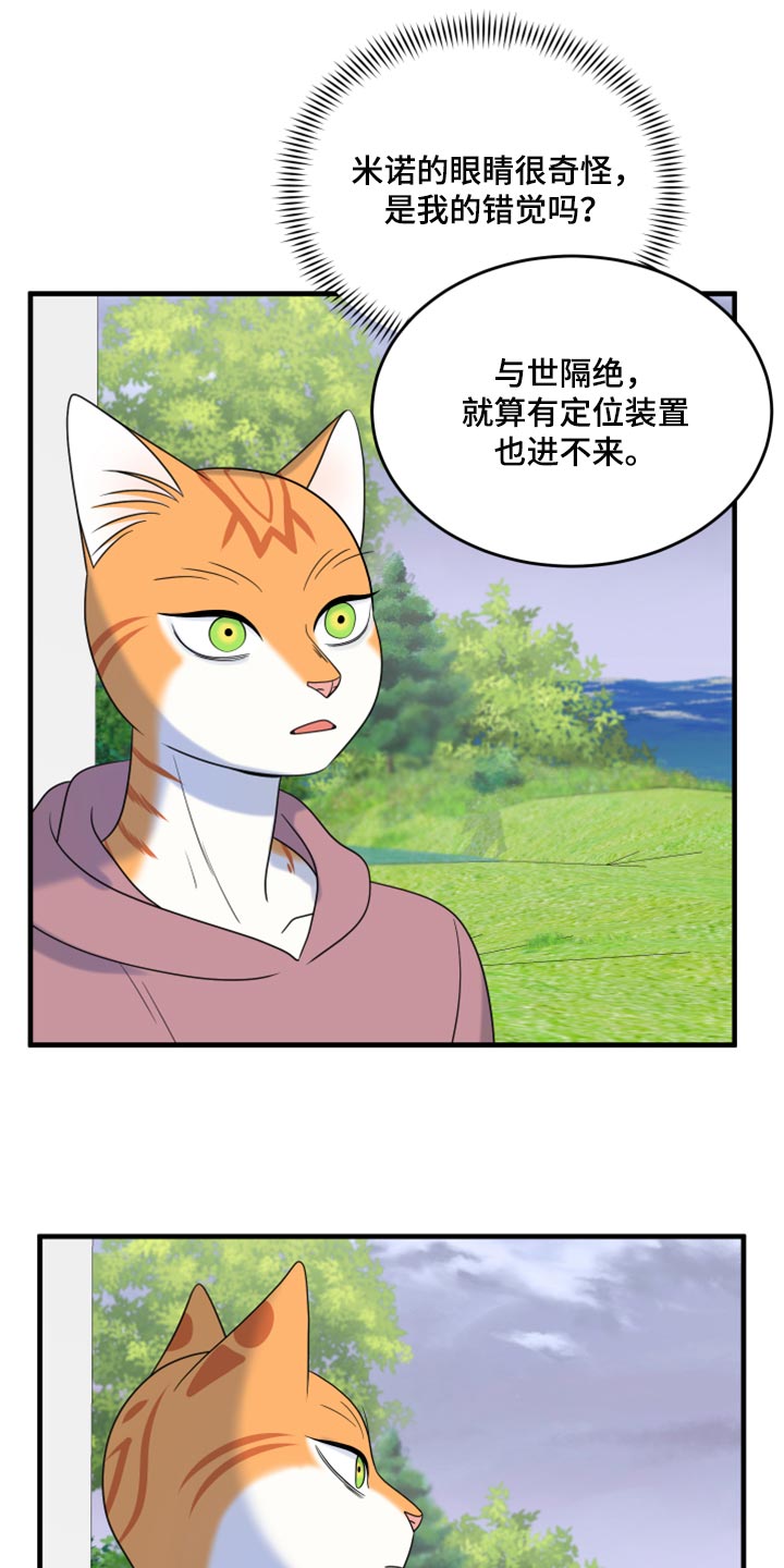 《灵猫欧米伽》漫画最新章节第90章：【第二季】想得太乐观免费下拉式在线观看章节第【12】张图片