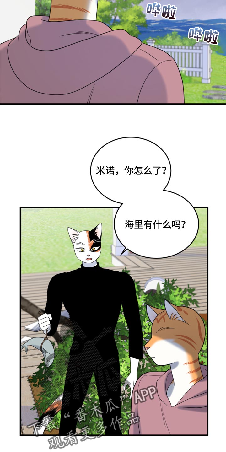 《灵猫欧米伽》漫画最新章节第90章：【第二季】想得太乐观免费下拉式在线观看章节第【18】张图片