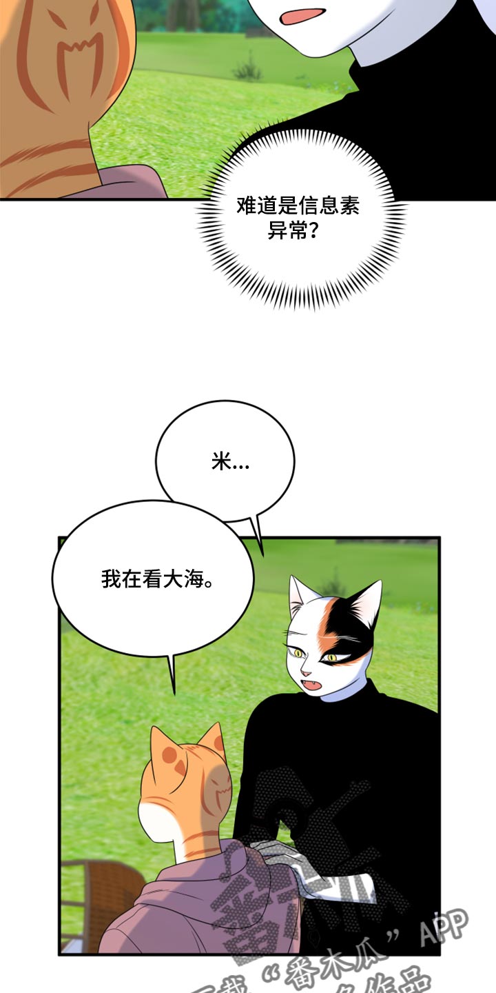 《灵猫欧米伽》漫画最新章节第90章：【第二季】想得太乐观免费下拉式在线观看章节第【16】张图片