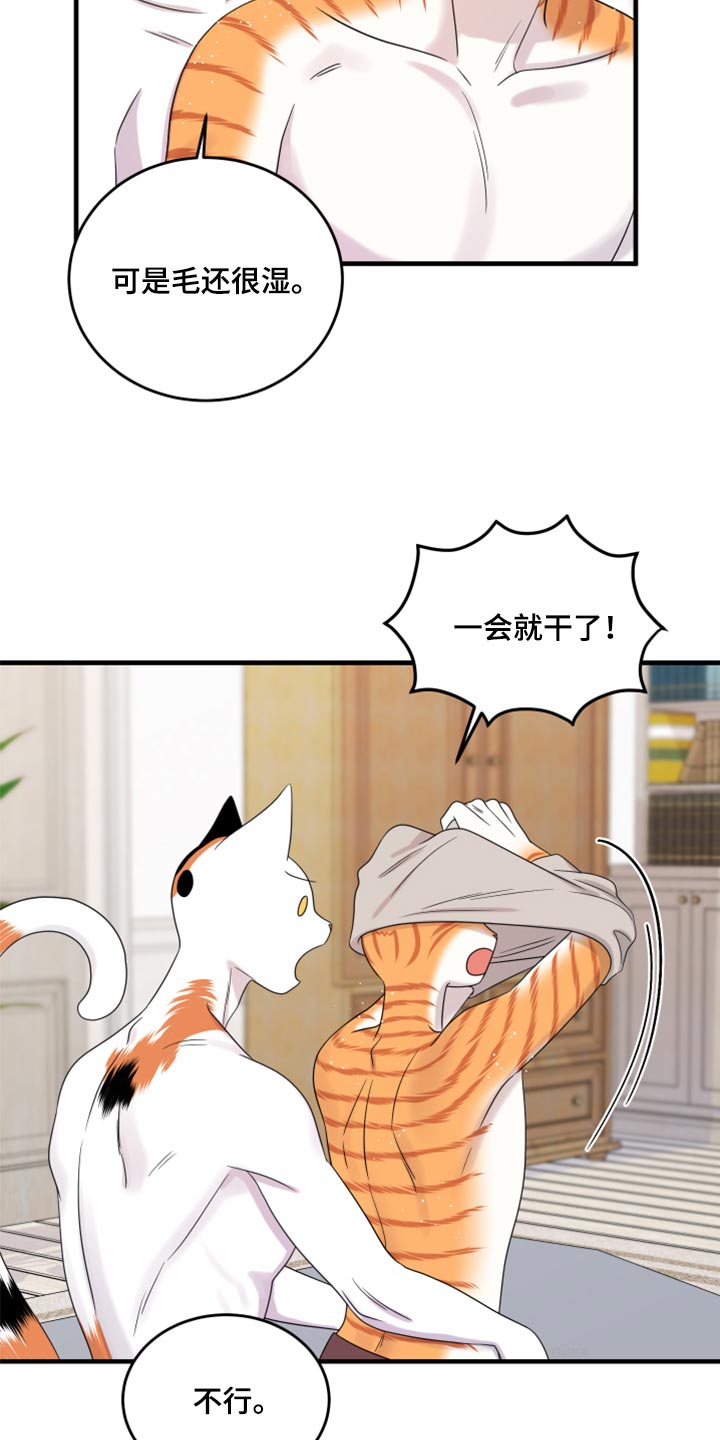 《灵猫欧米伽》漫画最新章节第90章：【第二季】想得太乐观免费下拉式在线观看章节第【4】张图片