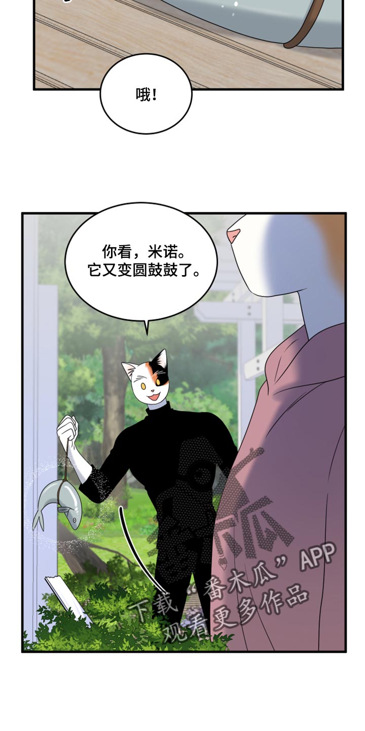 《灵猫欧米伽》漫画最新章节第90章：【第二季】想得太乐观免费下拉式在线观看章节第【20】张图片