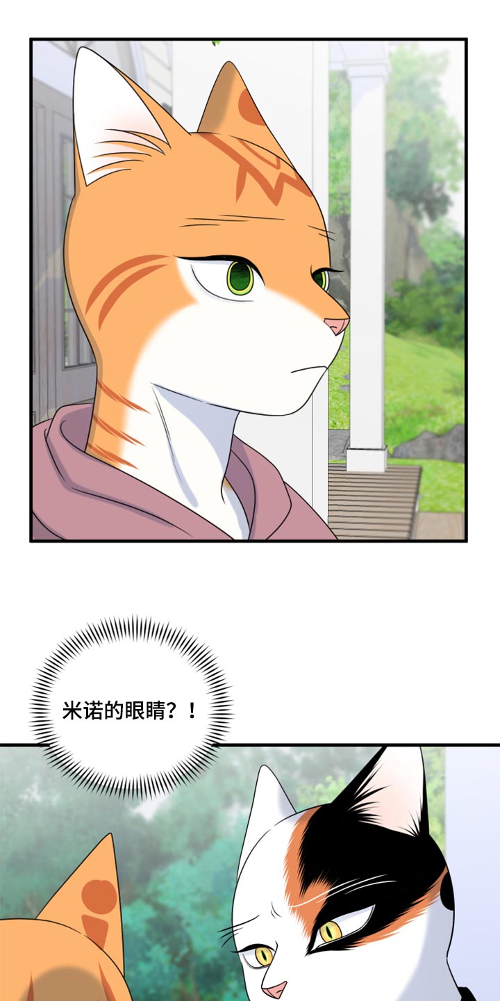 《灵猫欧米伽》漫画最新章节第90章：【第二季】想得太乐观免费下拉式在线观看章节第【17】张图片