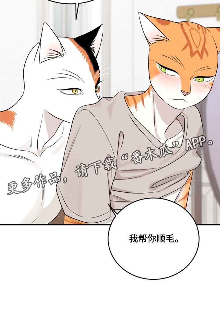 《灵猫欧米伽》漫画最新章节第90章：【第二季】想得太乐观免费下拉式在线观看章节第【1】张图片