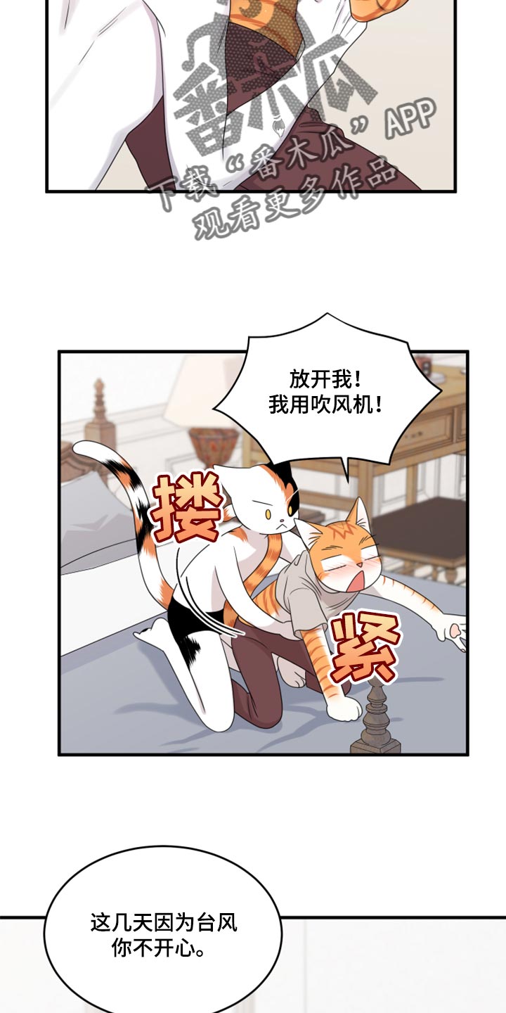 《灵猫欧米伽》漫画最新章节第90章：【第二季】想得太乐观免费下拉式在线观看章节第【2】张图片