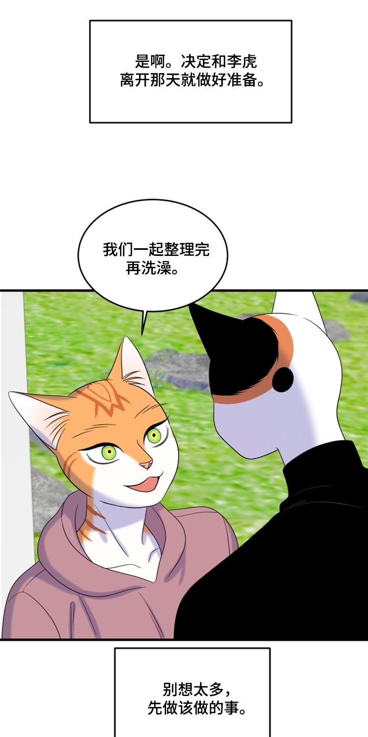 《灵猫欧米伽》漫画最新章节第90章：【第二季】想得太乐观免费下拉式在线观看章节第【6】张图片