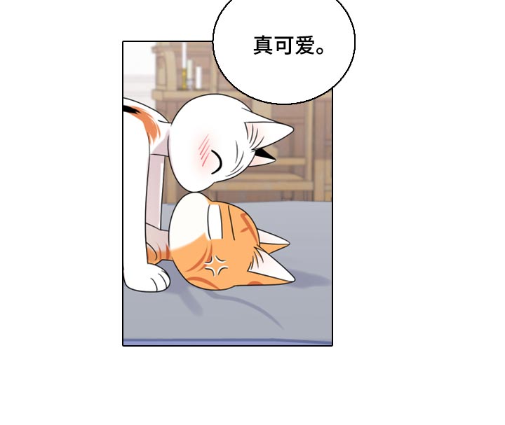 《灵猫欧米伽》漫画最新章节第91章：【第二季】暴走之前免费下拉式在线观看章节第【6】张图片