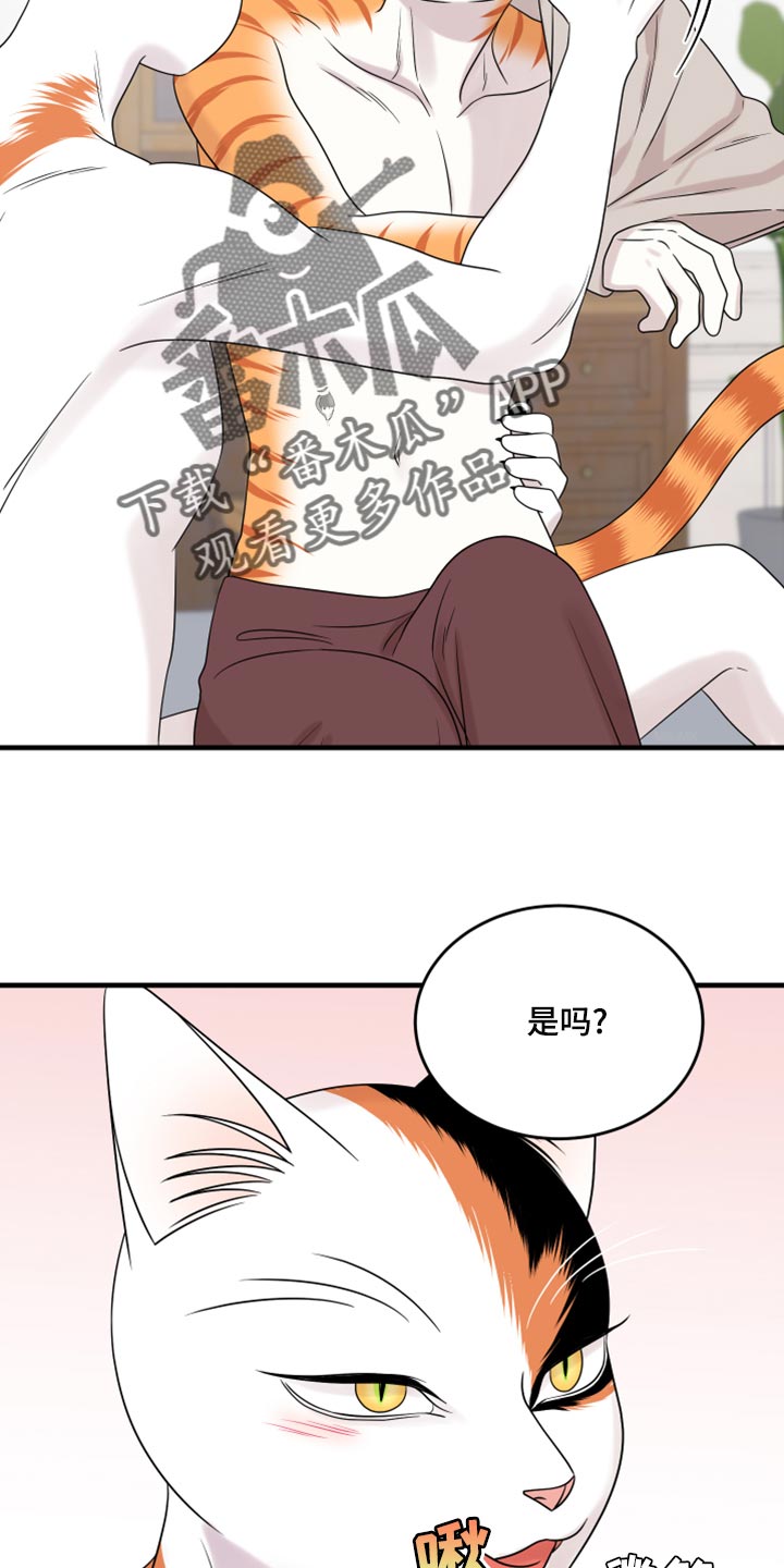 《灵猫欧米伽》漫画最新章节第91章：【第二季】暴走之前免费下拉式在线观看章节第【17】张图片