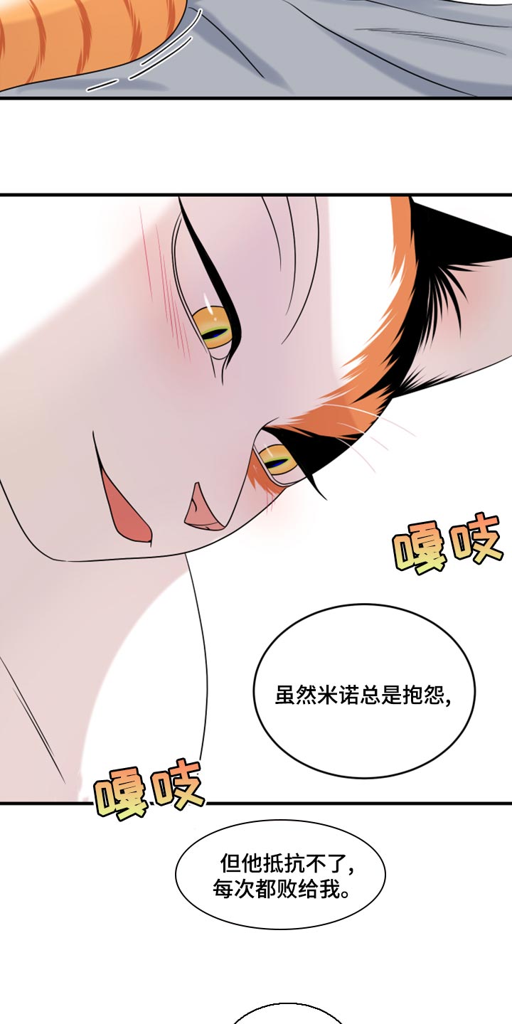 《灵猫欧米伽》漫画最新章节第91章：【第二季】暴走之前免费下拉式在线观看章节第【7】张图片