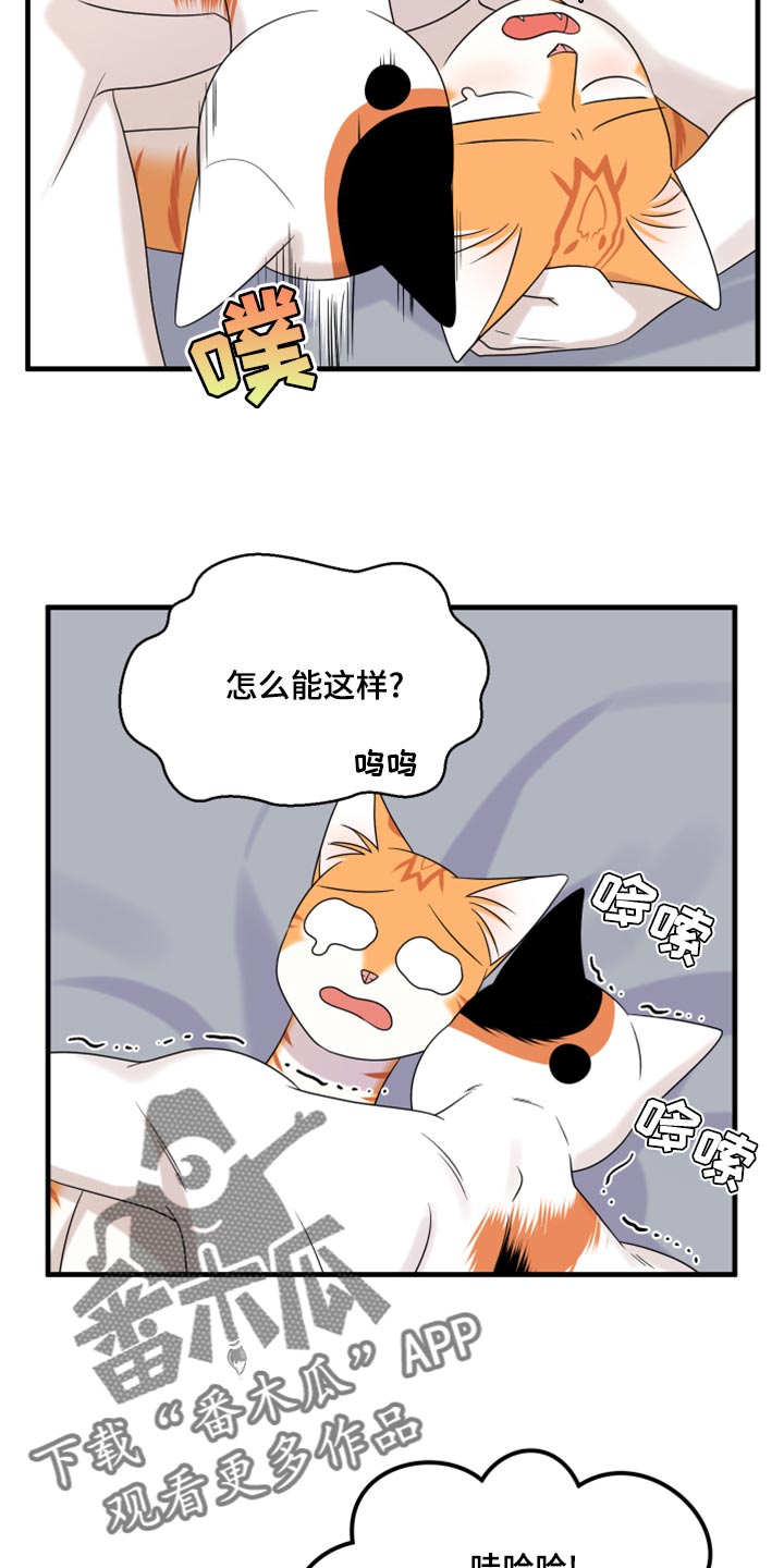 《灵猫欧米伽》漫画最新章节第91章：【第二季】暴走之前免费下拉式在线观看章节第【4】张图片