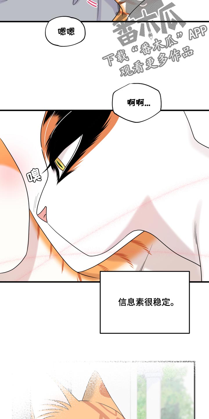 《灵猫欧米伽》漫画最新章节第91章：【第二季】暴走之前免费下拉式在线观看章节第【9】张图片