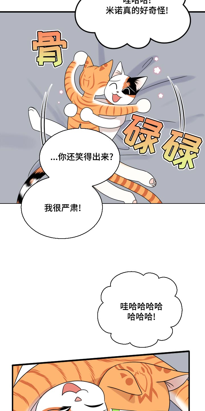 《灵猫欧米伽》漫画最新章节第91章：【第二季】暴走之前免费下拉式在线观看章节第【3】张图片