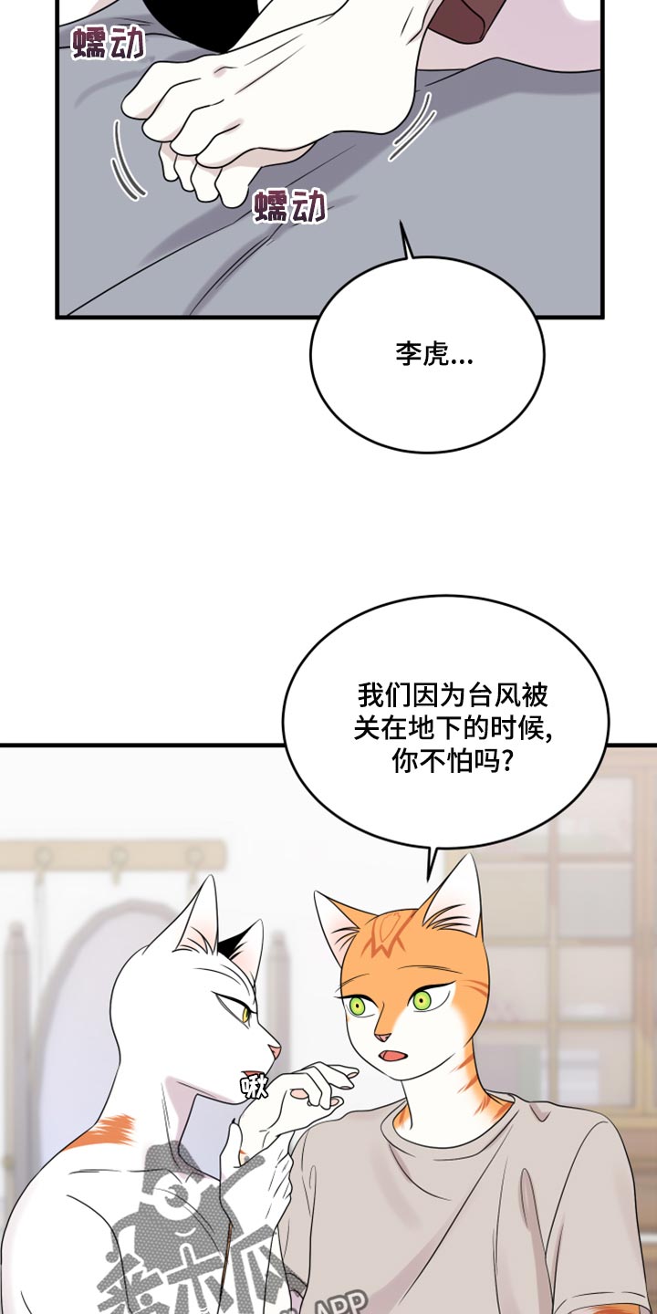 灵猫欧米伽-第91章：【第二季】暴走之前全彩韩漫标签