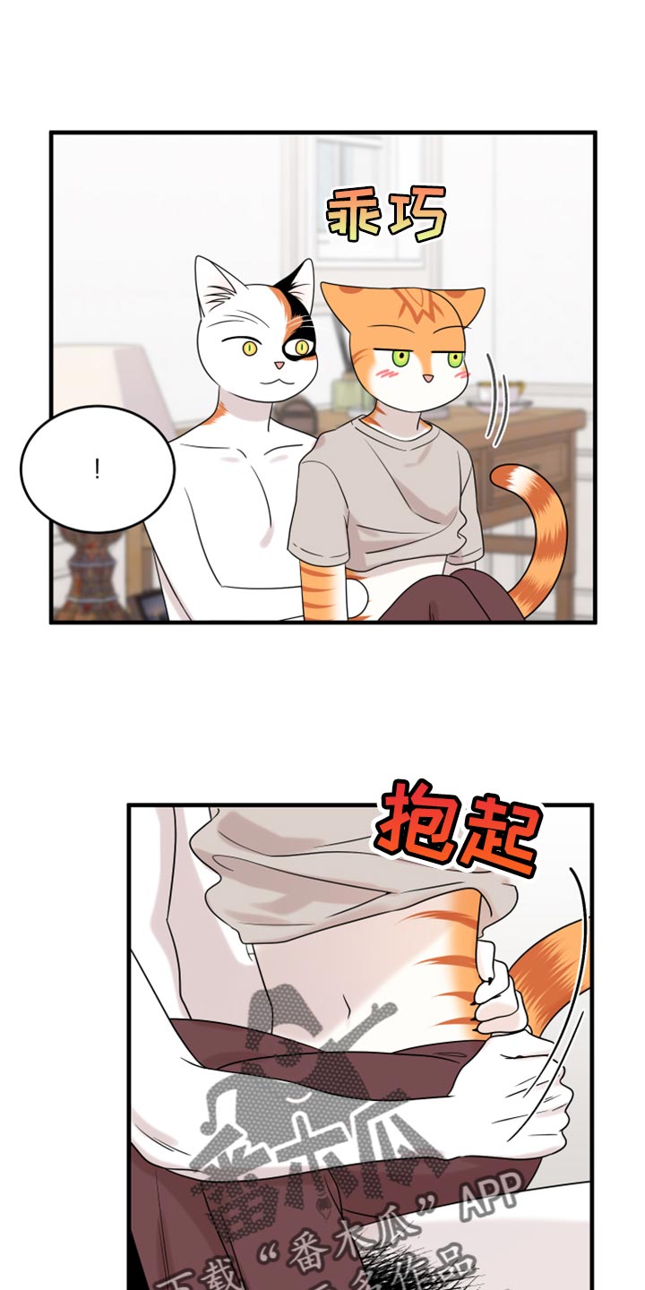 灵猫欧米伽-第91章：【第二季】暴走之前全彩韩漫标签