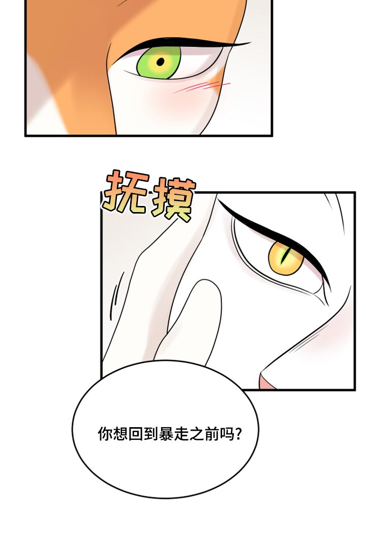 《灵猫欧米伽》漫画最新章节第91章：【第二季】暴走之前免费下拉式在线观看章节第【1】张图片