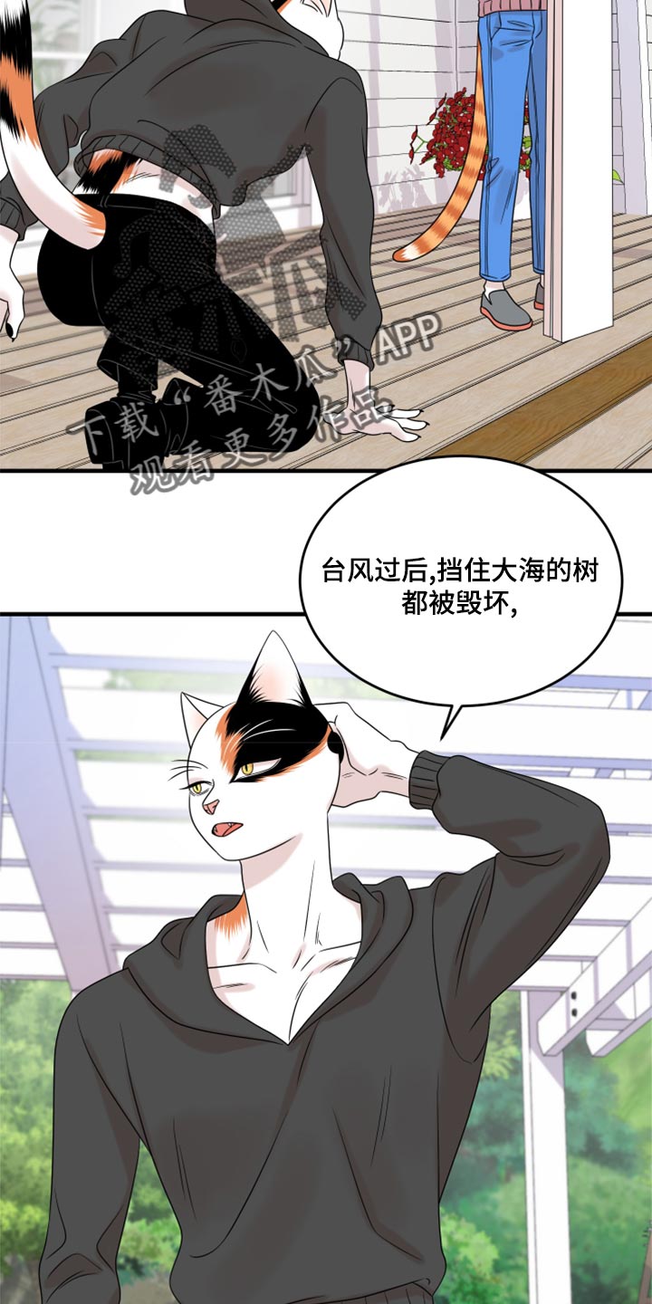 《灵猫欧米伽》漫画最新章节第92章：【第二季】改变的勇气免费下拉式在线观看章节第【7】张图片