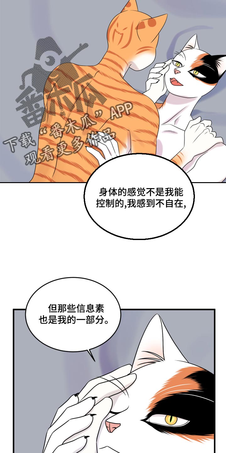 《灵猫欧米伽》漫画最新章节第92章：【第二季】改变的勇气免费下拉式在线观看章节第【20】张图片