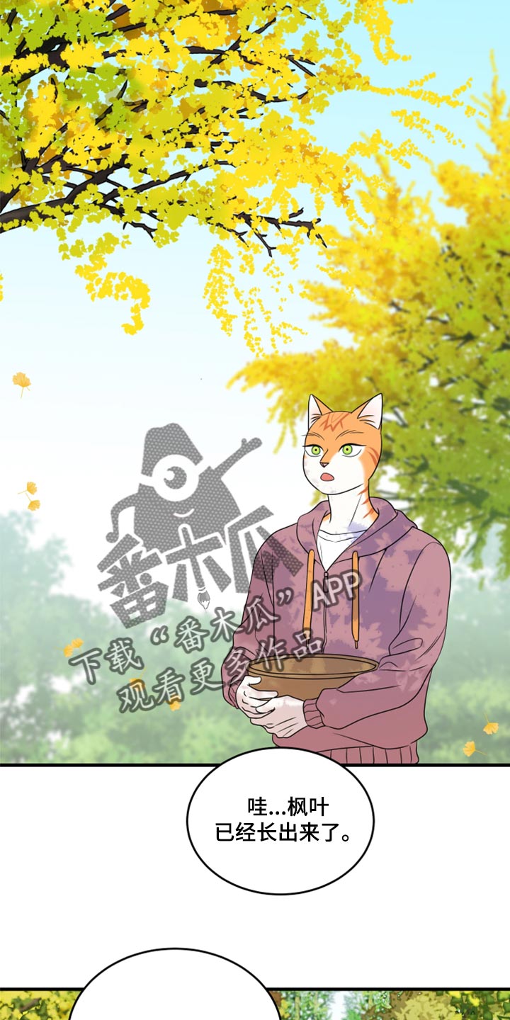 《灵猫欧米伽》漫画最新章节第92章：【第二季】改变的勇气免费下拉式在线观看章节第【3】张图片