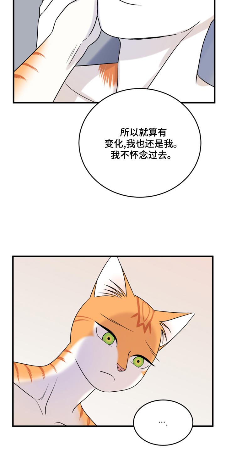 《灵猫欧米伽》漫画最新章节第92章：【第二季】改变的勇气免费下拉式在线观看章节第【19】张图片