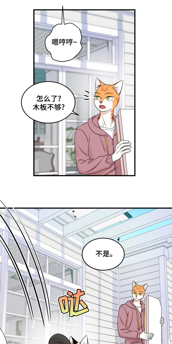 《灵猫欧米伽》漫画最新章节第92章：【第二季】改变的勇气免费下拉式在线观看章节第【8】张图片