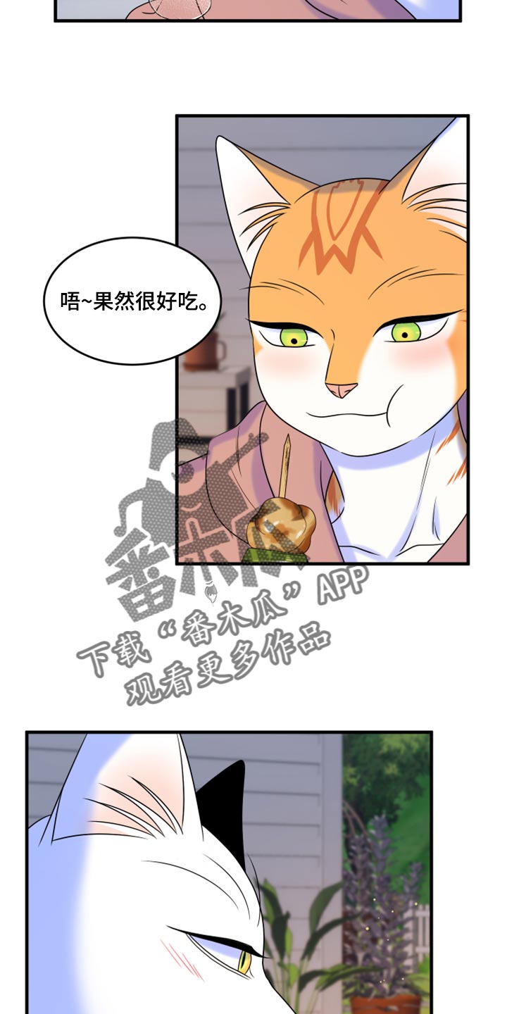 《灵猫欧米伽》漫画最新章节第93章：【第二季】希望尽早离开这里免费下拉式在线观看章节第【17】张图片