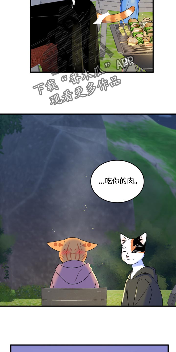 《灵猫欧米伽》漫画最新章节第93章：【第二季】希望尽早离开这里免费下拉式在线观看章节第【12】张图片