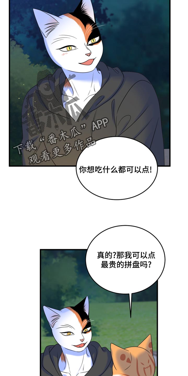 《灵猫欧米伽》漫画最新章节第93章：【第二季】希望尽早离开这里免费下拉式在线观看章节第【5】张图片